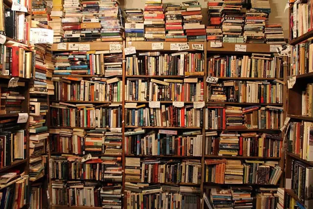 Indian women authors who have made a splash