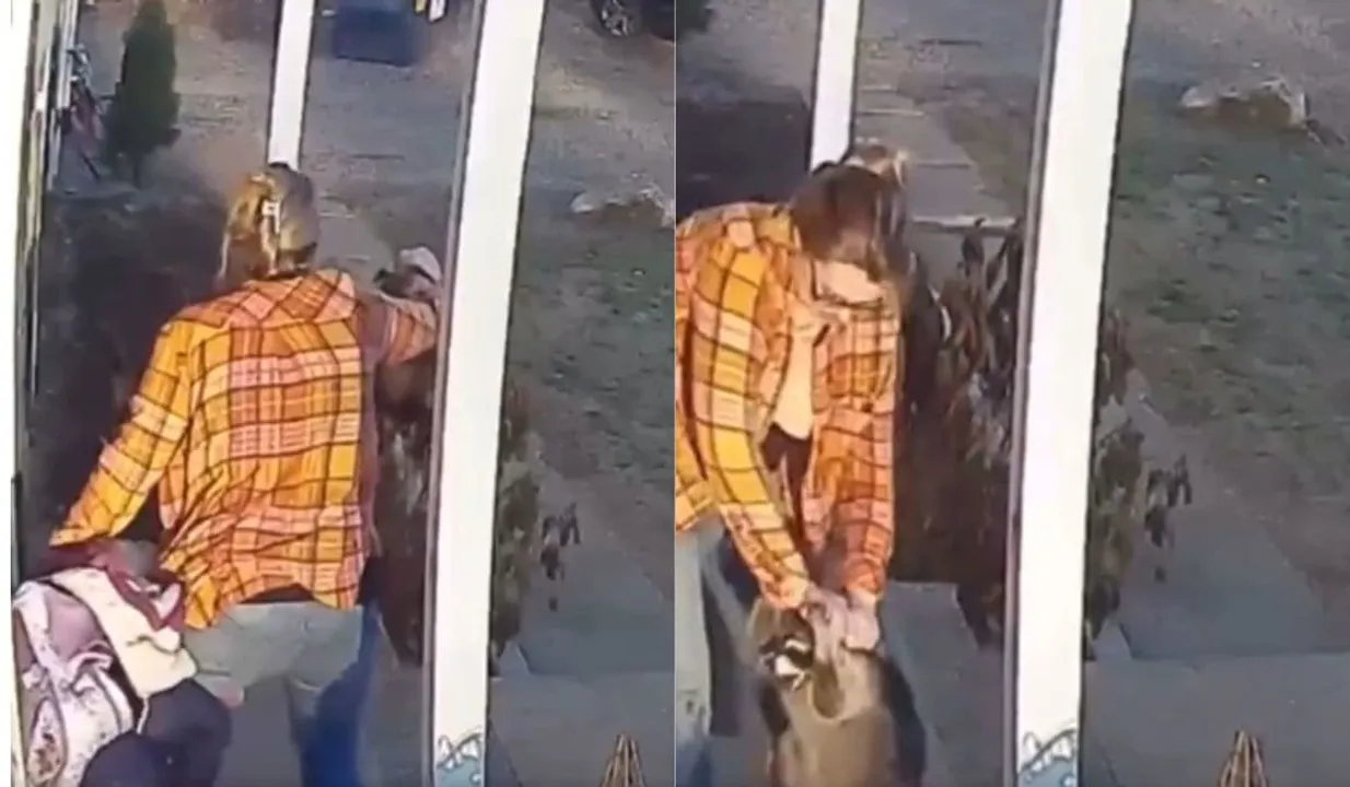 Mother Saves Daughter From Raccoon
