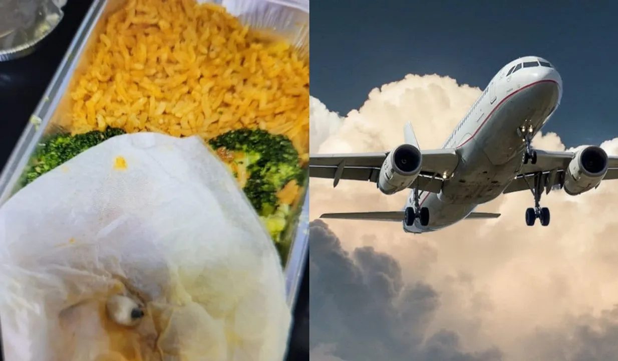 Woman Finds Tooth In Airline Meal