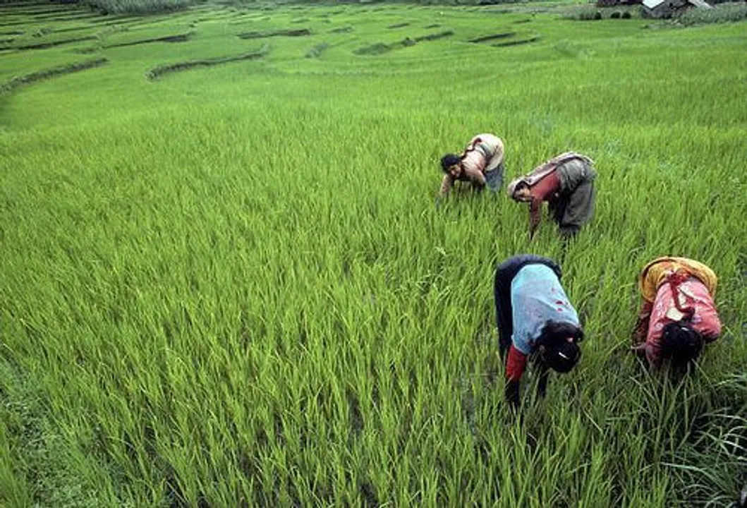 manipur women climate change