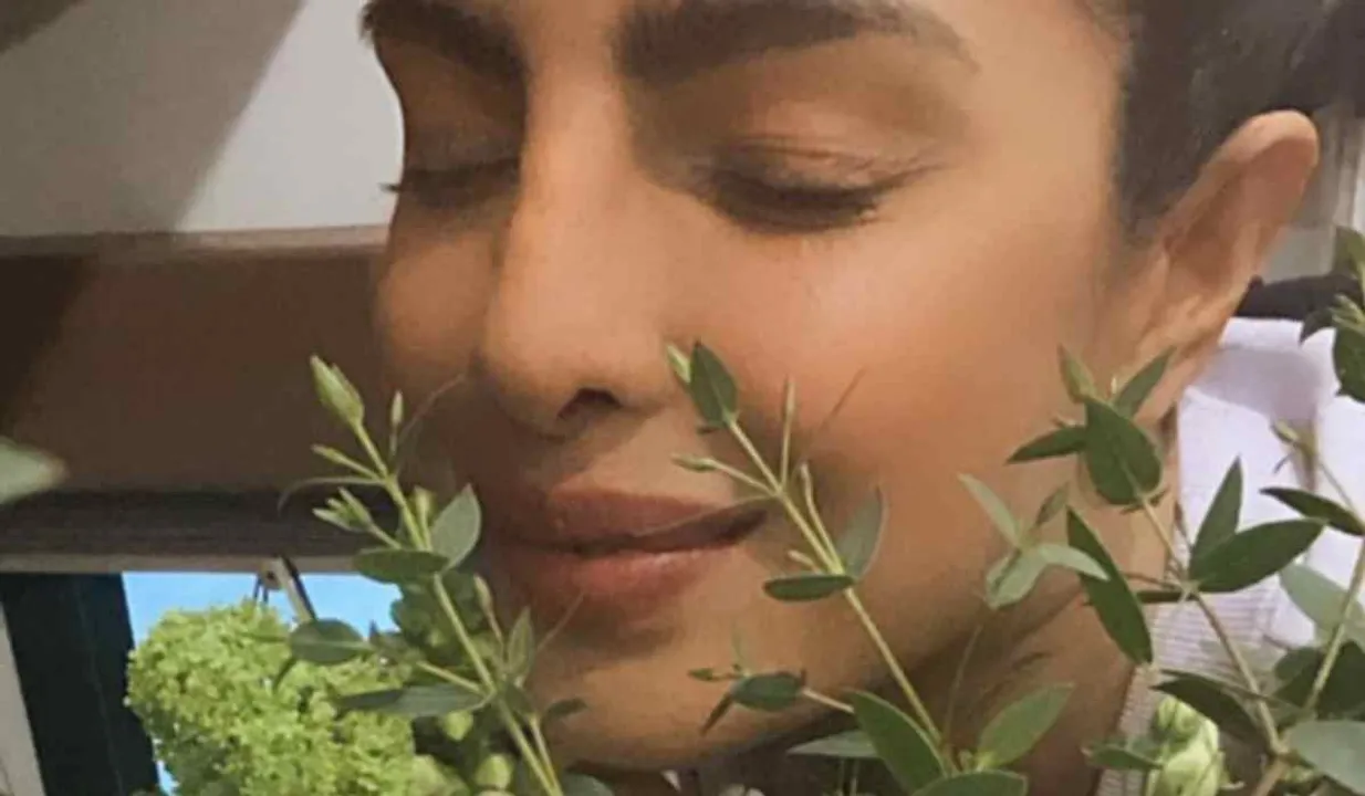 Priyanka Chopra Citadel, priyanka chopra restaurant