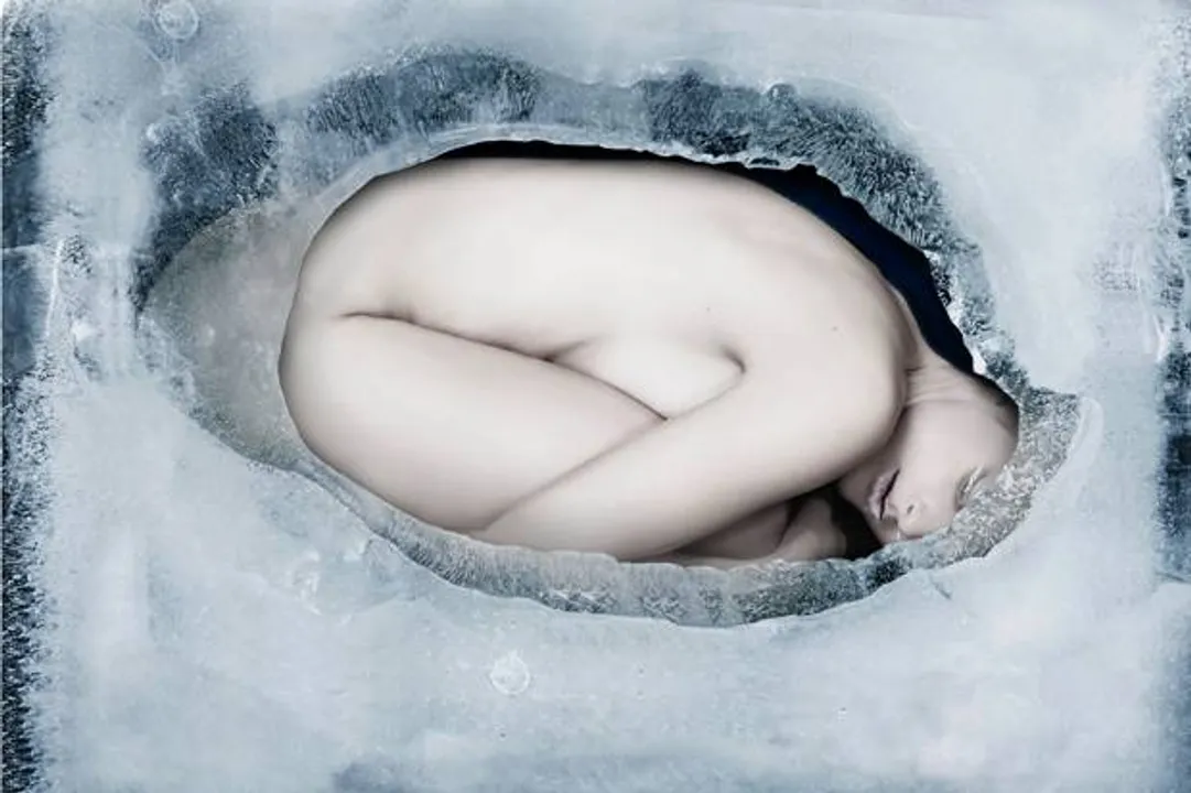 Who is the ‘freezing female employees’ eggs’ offer really for?      