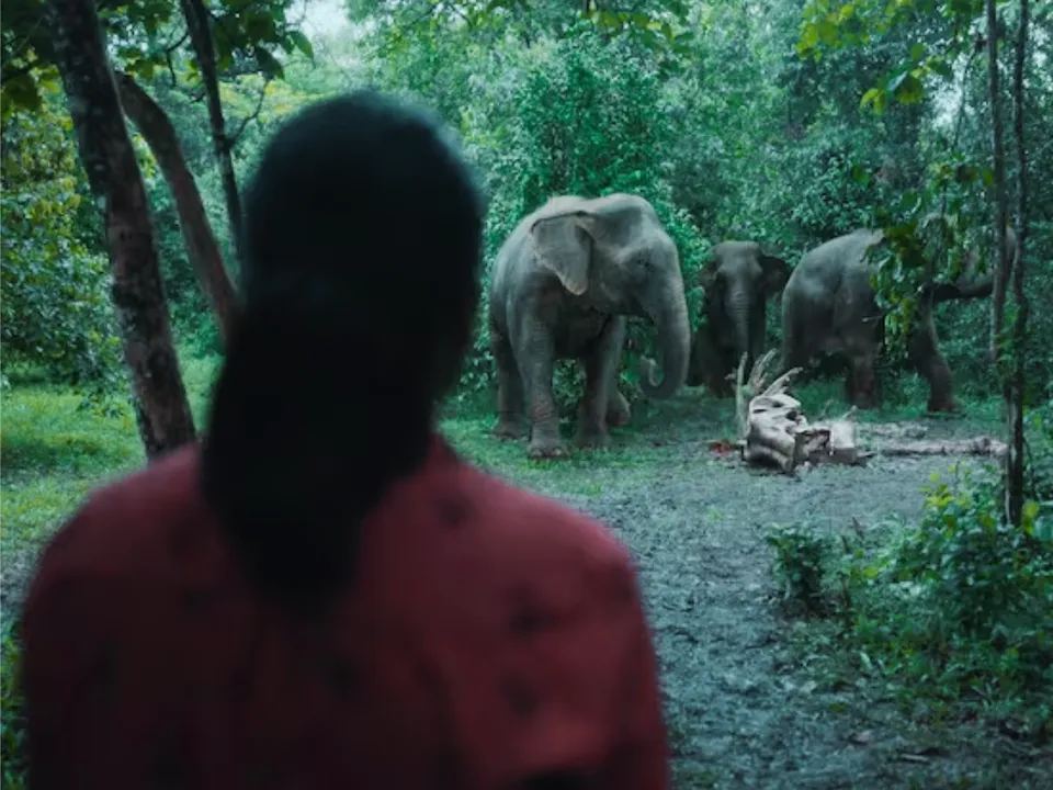 Poacher Janta review