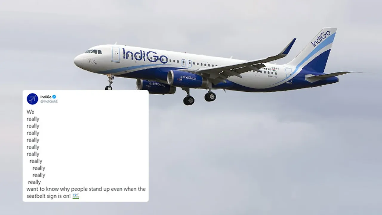 Indigo
