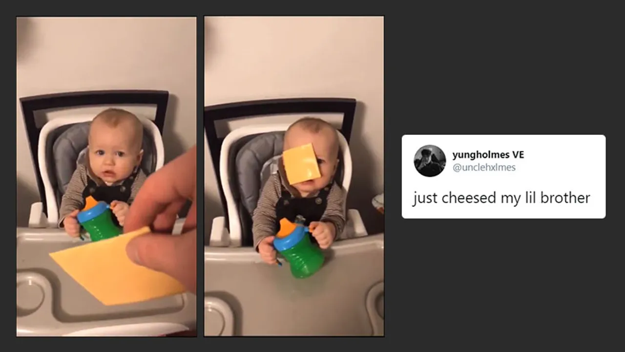 cheese slice