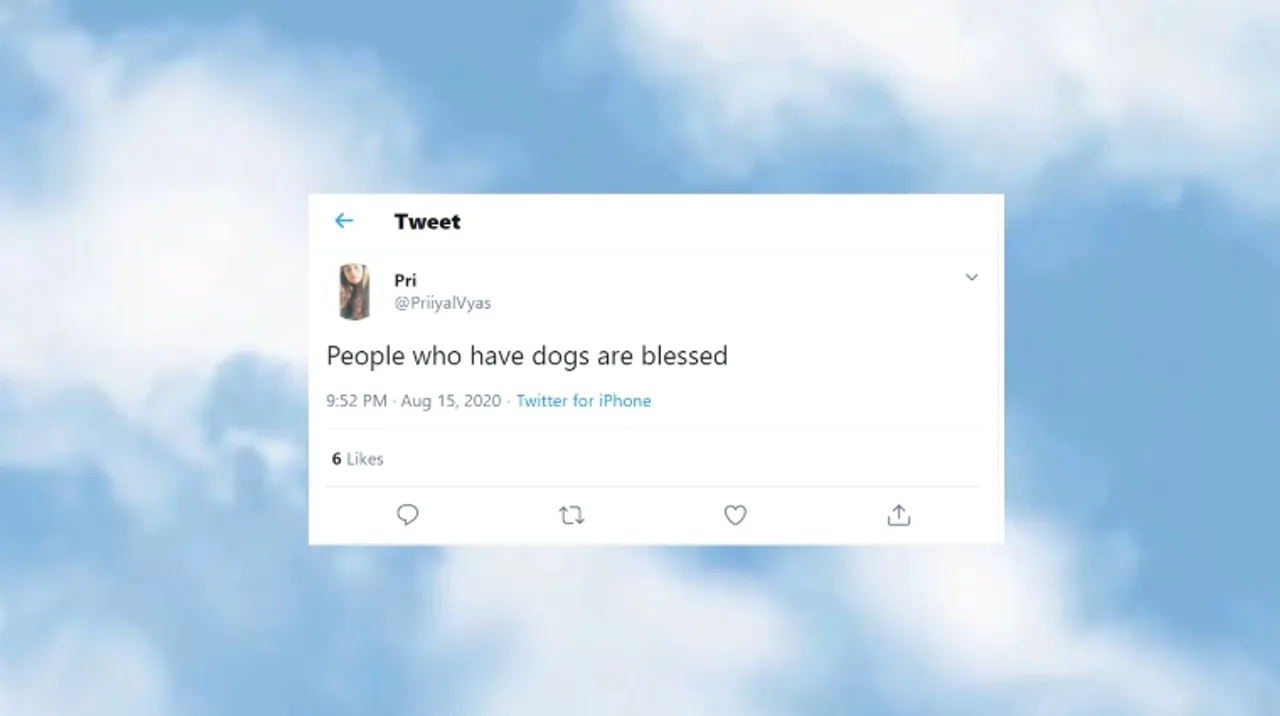 International Dog Day