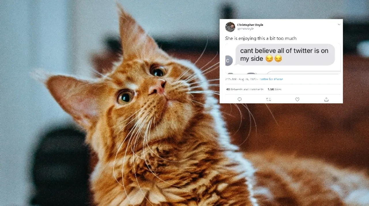 pet cat