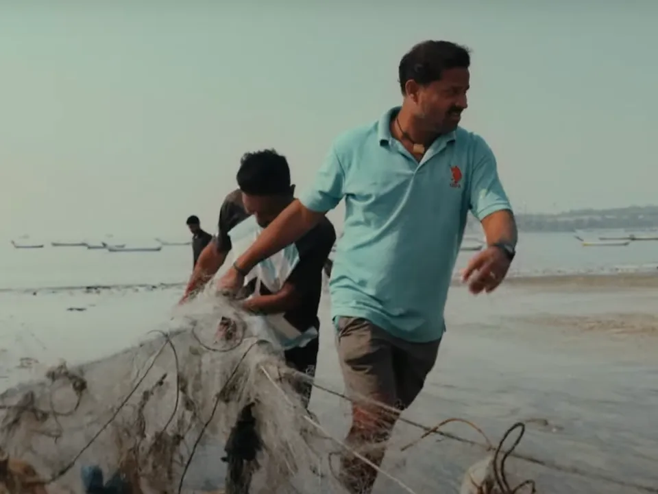 Nets for change