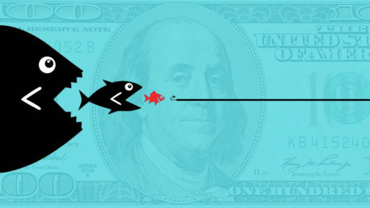 fi - 2025-12-07T061945.667