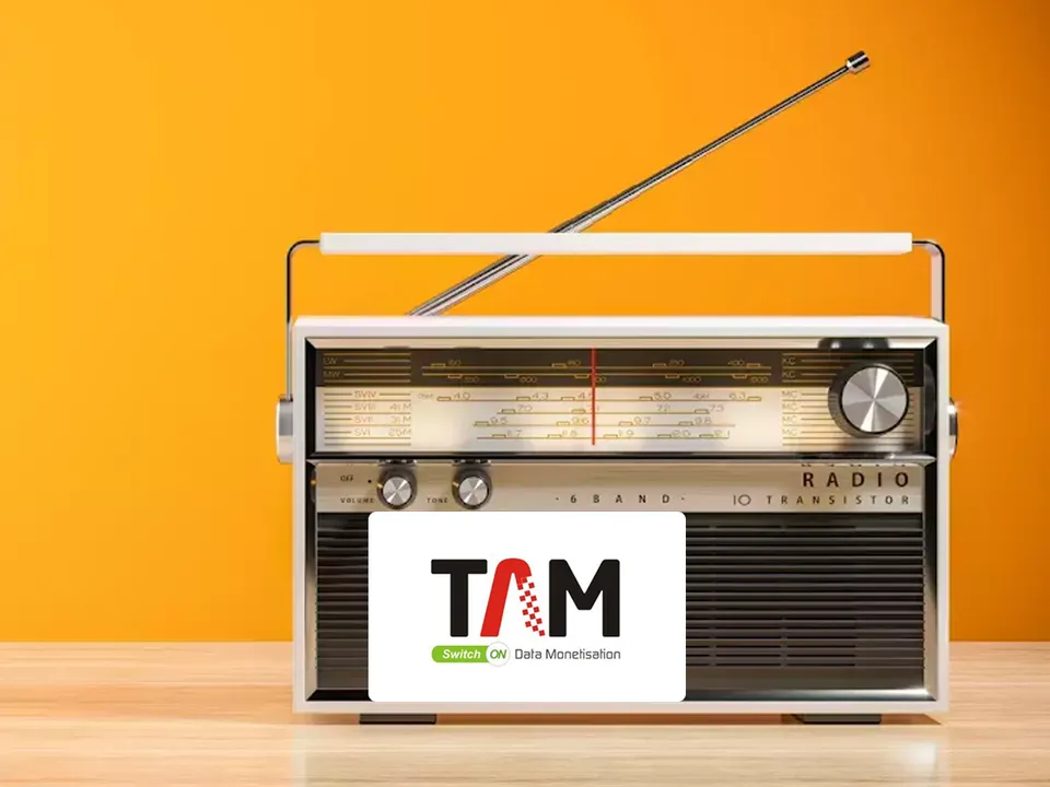 TAM AdEx Report