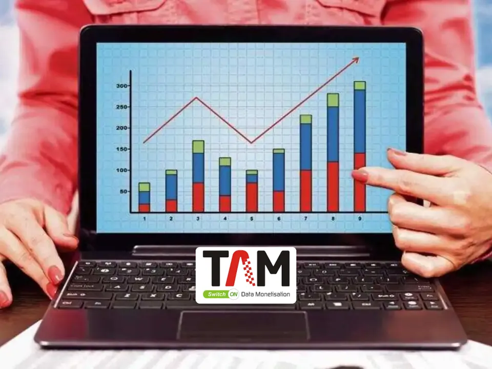 TAM AdEx report