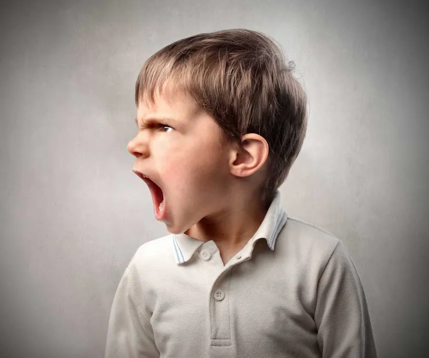 The Proof of the Pudding – A content marketer’s rant