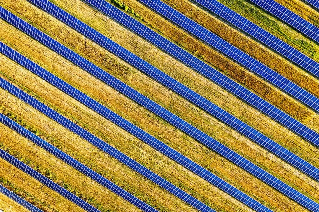  Researchers and farmers will assess Kernza grain production under solar panels, evaluating soil health, water retention, and carbon sequestration.  Image Credit/Source: Tom Fisk/Pexels 