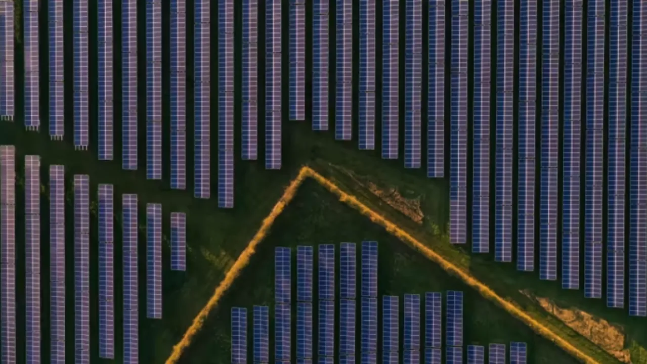  Cobholden Solar Farm will generate 49.9 MW and double biodiversity with tree planting, hedgerow enhancements, and wildflower areas. Image Source: Cambridge Power 