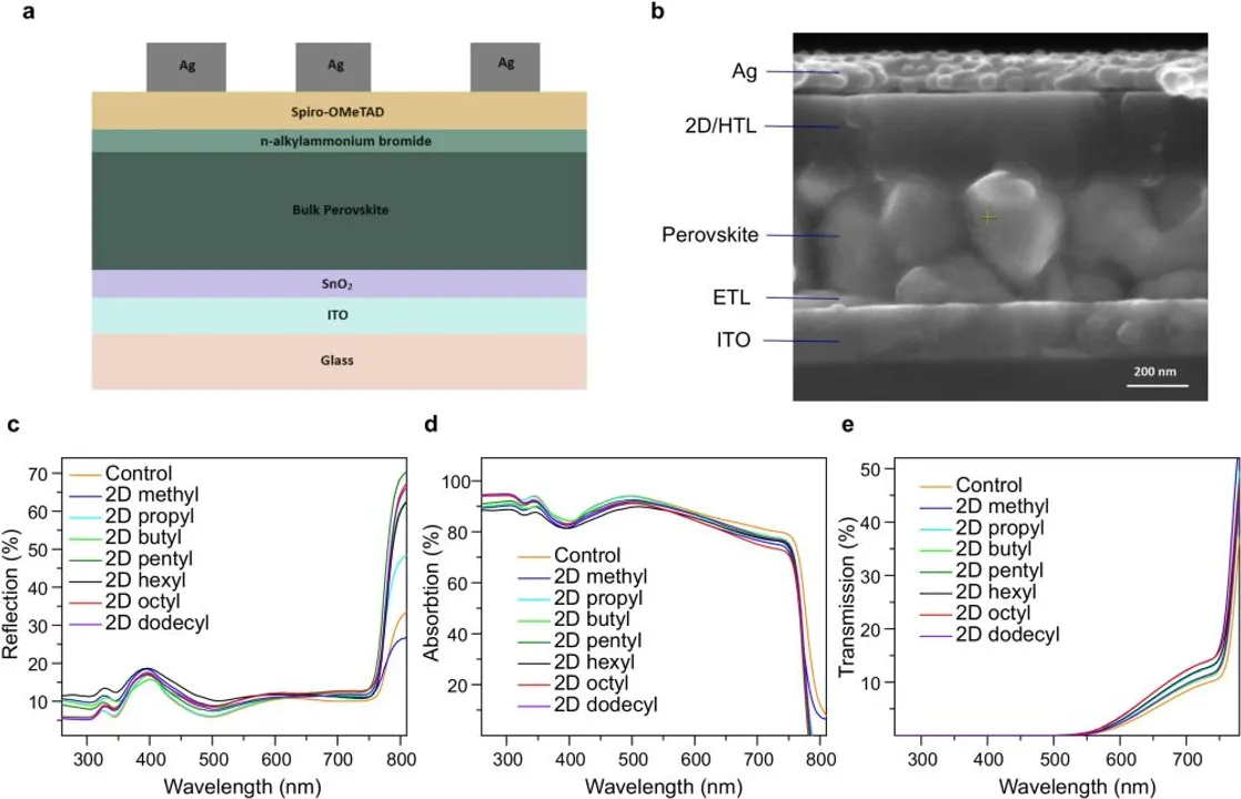  UNSW Sydney's optimized 2D films improved PSC performance with minimal extra cost and processing time. Image Source: Science Direct 