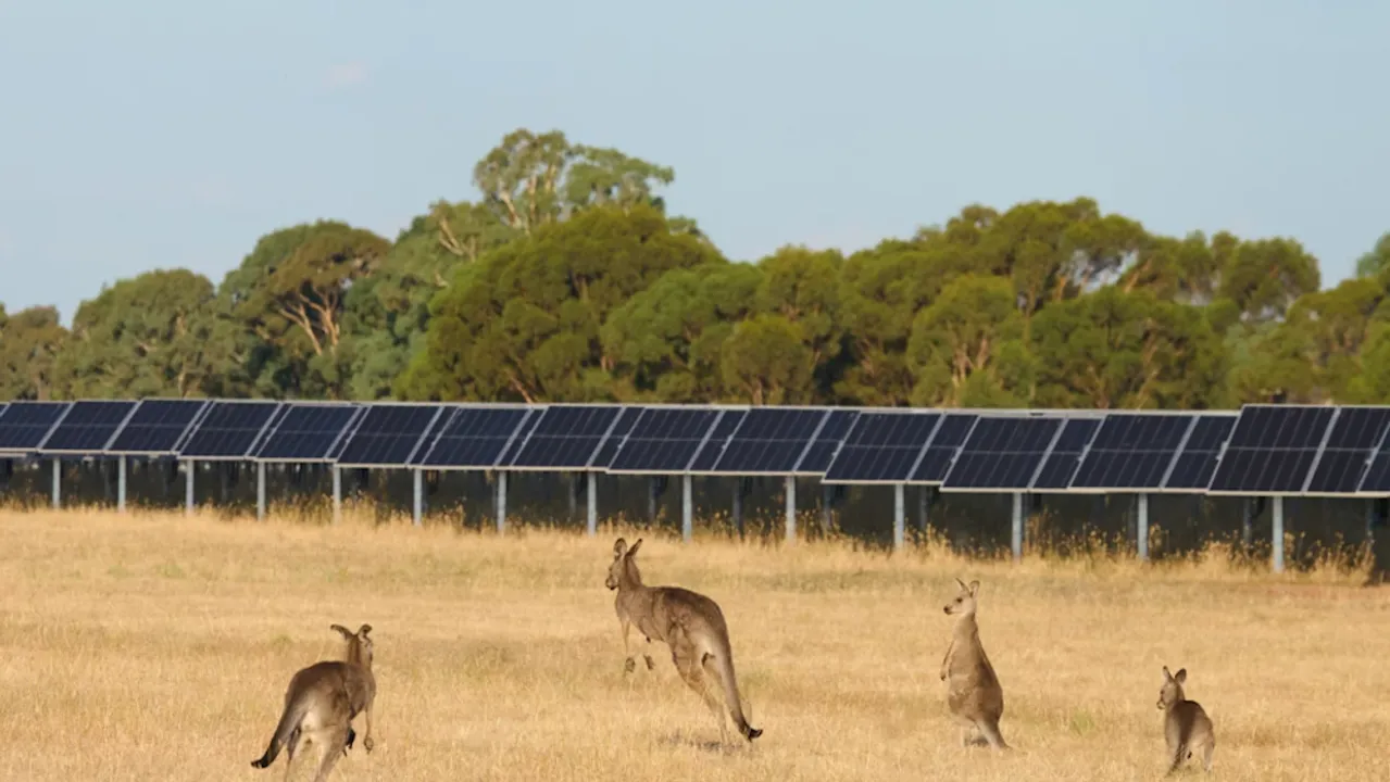  The 58 MW Mokoan Solar Park is in Victoria and is now successfully connected to the Australian grid.  Image Source: European Energy 
