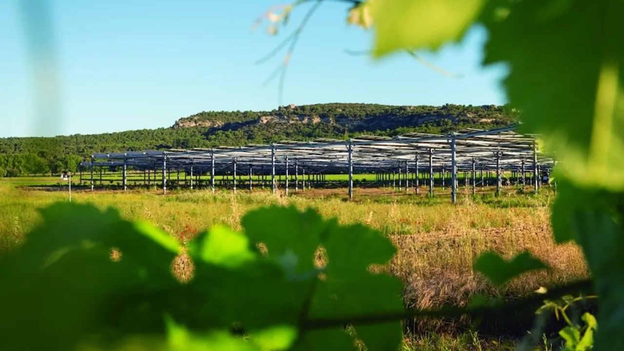  The new Axial Agrivoltaics Trackers are height-adjustable from 1.3 to 2.1 meters, allowing smooth passage for machinery and livestock without disrupting operations. Image Source: AXIAL 