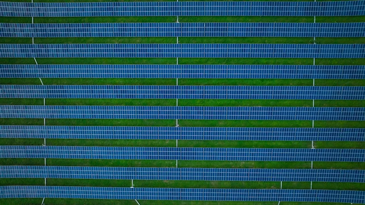  The Cabra and Olivar solar plants were estimated to supply over 172,000 homes and included biodiversity-focused environmental measures. Image Credit/Source: Kelly/Pexels 