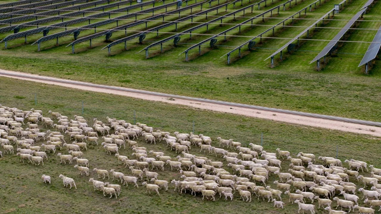  The 12-month GPS approval process involved AEMO, Transgrid, Lumea, Wärtsilä, and SMA Australia in coordinated technical review.  Image Credit/Source: Octopus Investments 