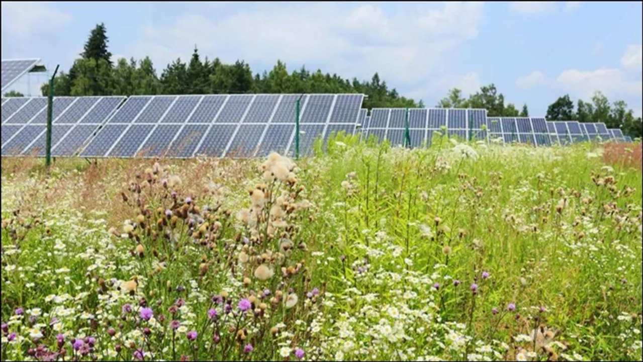  The planning review for Potterne Solar Project has remained active as new revisions pushed decisions beyond the original February 28 deadline. Image Source: Potternesolar 