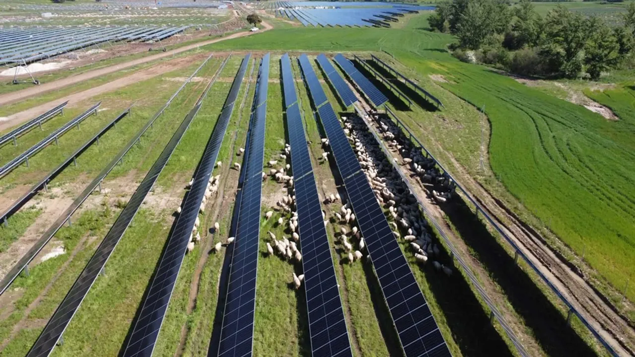  The Oliva Solar project includes a 70 MW data center operating under a self-consumption model with assured renewable capacity. Image Credit/Source: SolariaEnergia 