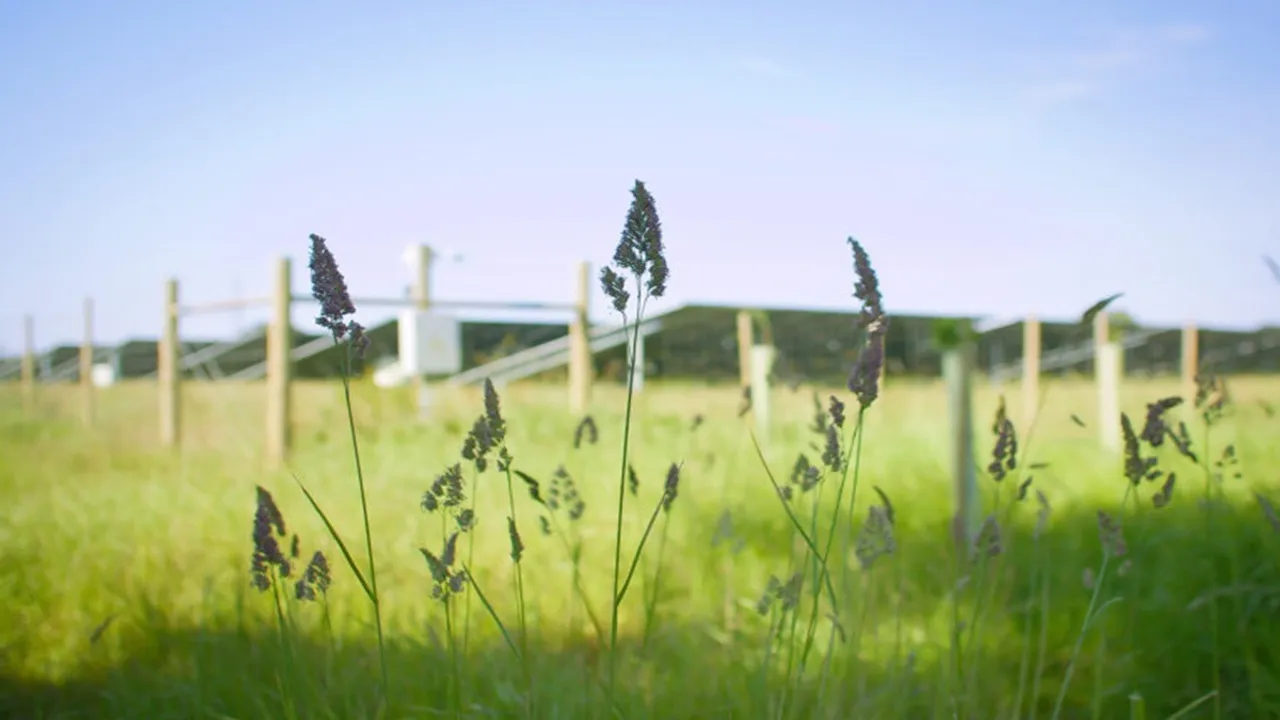  The Bramley Project reached financial close with EDF, LONGi, and Sungrow named among delivery partners. Image Source: Cero Generation 