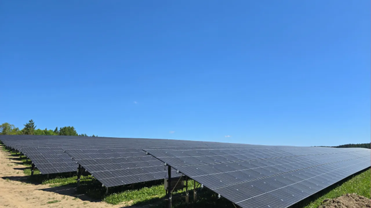  The Adorf project has demonstrated practical land-sharing where cattle graze under operational solar modules. Image Credit/Source: Trinasolar 