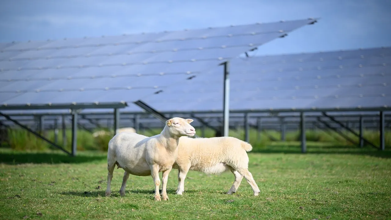  Photosol has provided agrivoltaic data that supported ADEME’s national observatory launch. Image Credit/Source: Linkedin/Photosol 