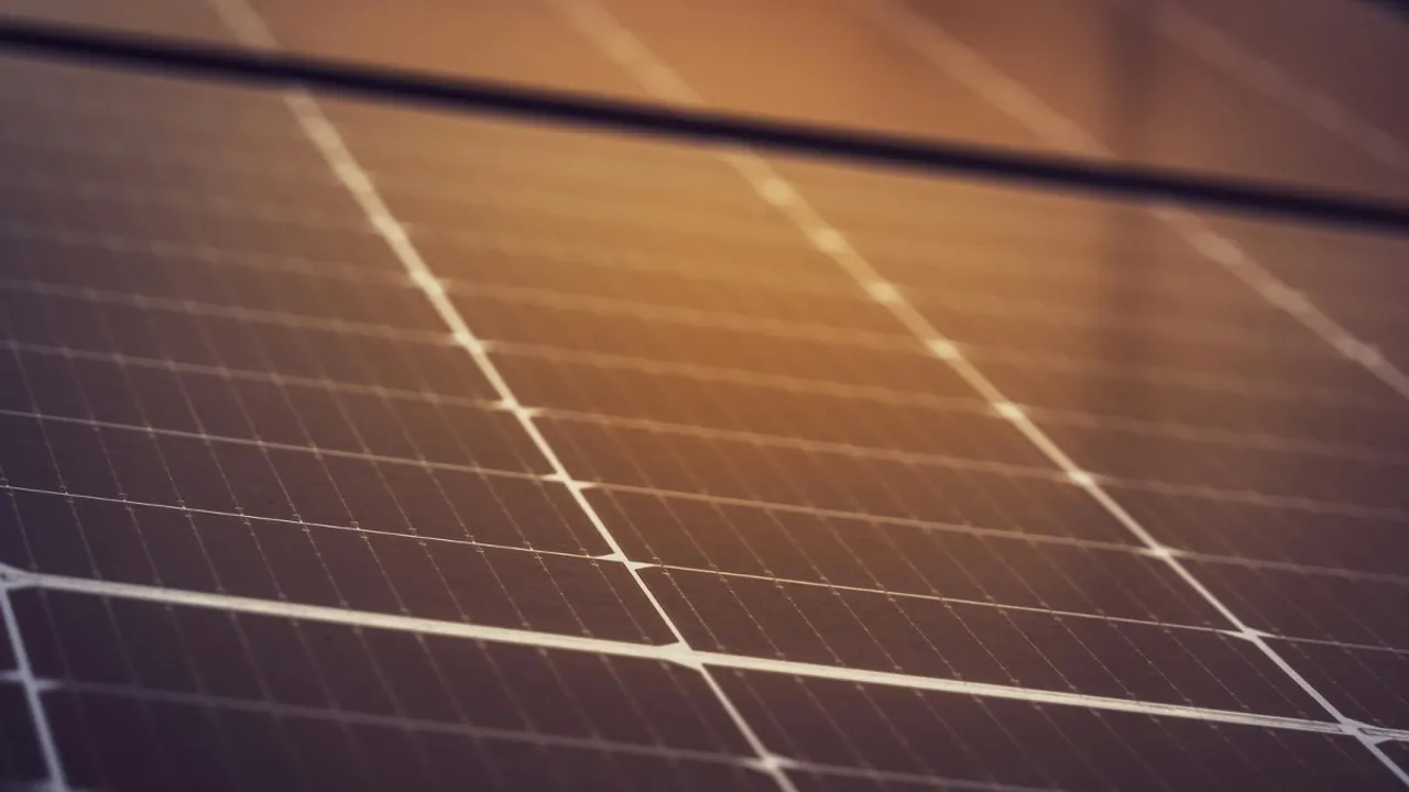  Several manufacturers have secured new module supply orders during December. Image Credit/Source: Michael Pointner/Pexels 