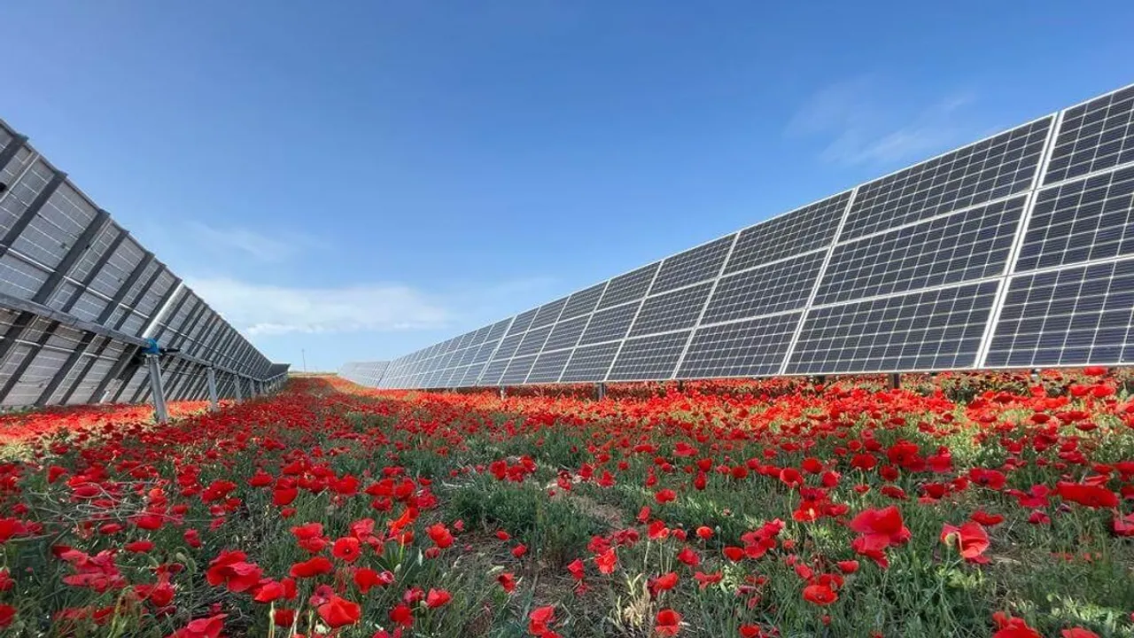  The decision has enabled construction planning ahead of scheduled 2027 operations. Image Source: Solaria 