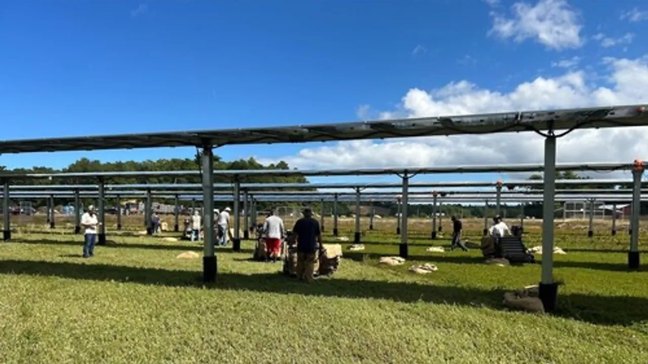 The Solar and Farming Association advocates policies supporting agrivoltaics and rural energy resilience.