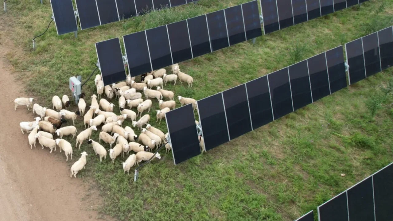 The judgment allows the Harvey Solar Project to proceed under previously granted regulatory clearance.