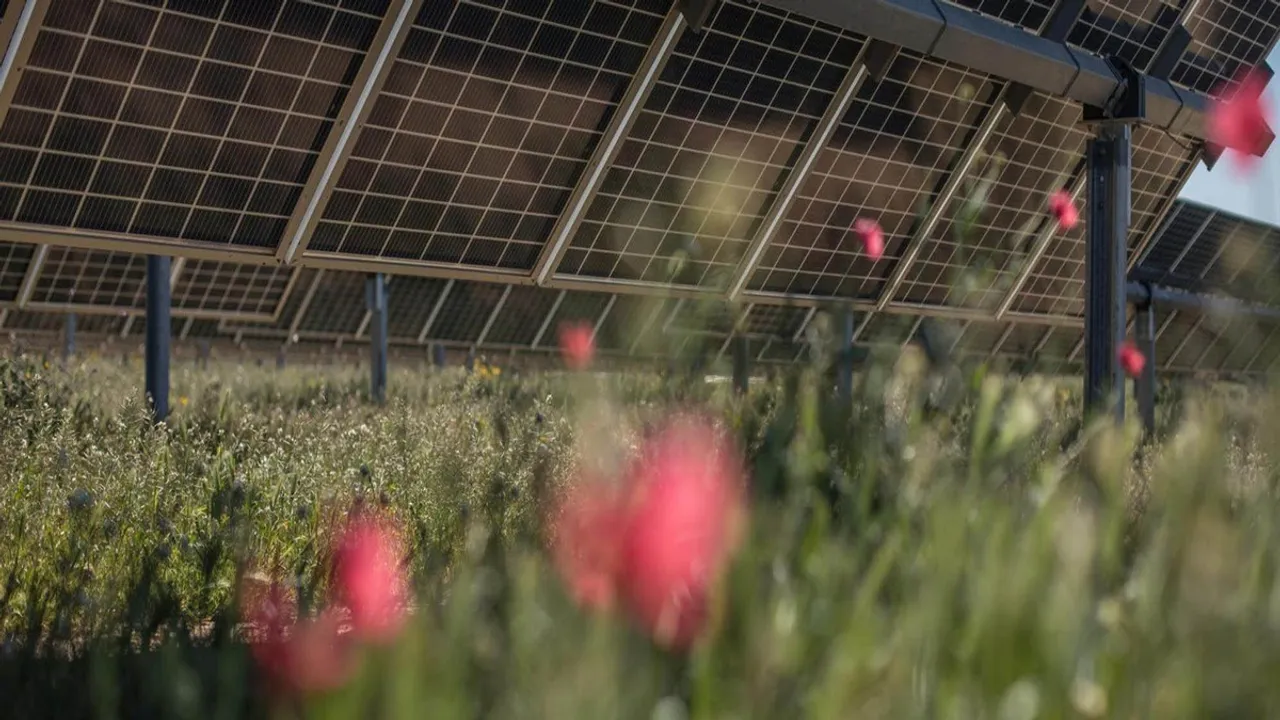 The 1.037 GW portfolio generated 2,230 GWh annually, supplying over 380,000 households while avoiding 1.6 million tonnes of CO₂ emissions.