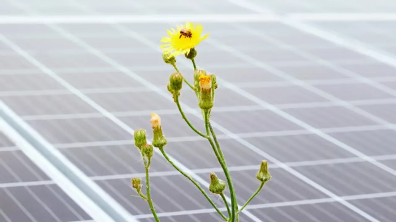 The PV array includes more than 12,000 modules delivering 7.6 MWp of rated output.