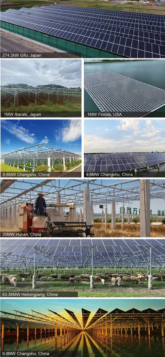  Talesun Solar expressed willingness to collaborate with experts for the advancement of Canadian agricultural PV development. Illustration from Talesun. 