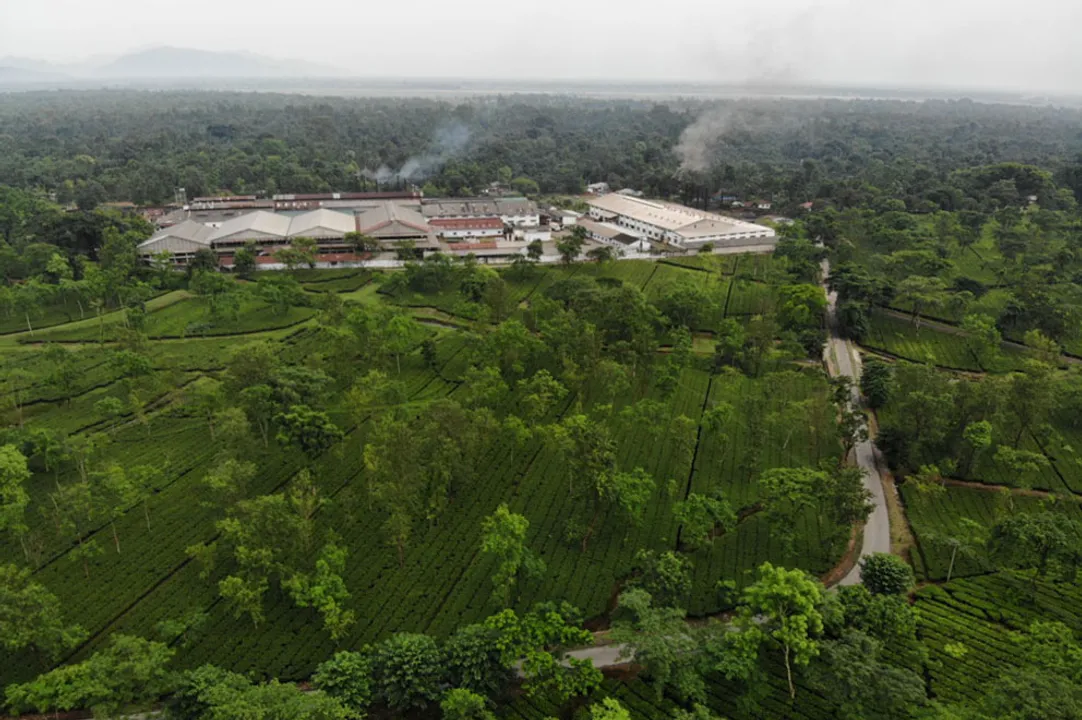  Tata Power Renewable Energy successfully implements on-ground bifacial solar modules in the challenging eastern Indian terrain, bringing clean energy to the Chengmari Tea Estate. (Image Credit: Chengmari).  