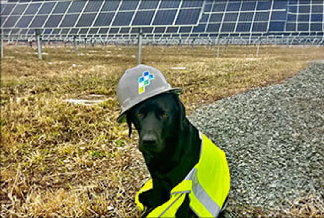  PureSky Energy's acquisition of Potomac project signals expansion into new markets. (Image Credit: PureSky Energy).  