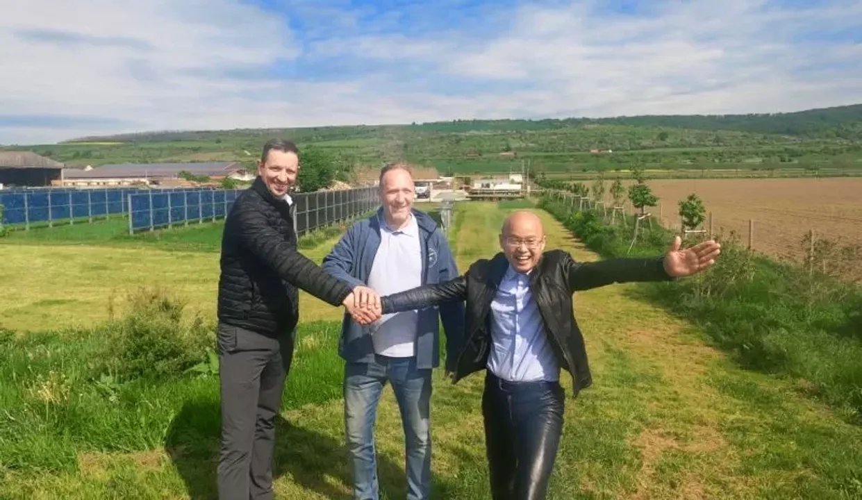  A strategic alliance between Hopewind and MAIROTEC Energy aims to revolutionize Agri-PV with AI integration. (Image Credit: Hopewind)  