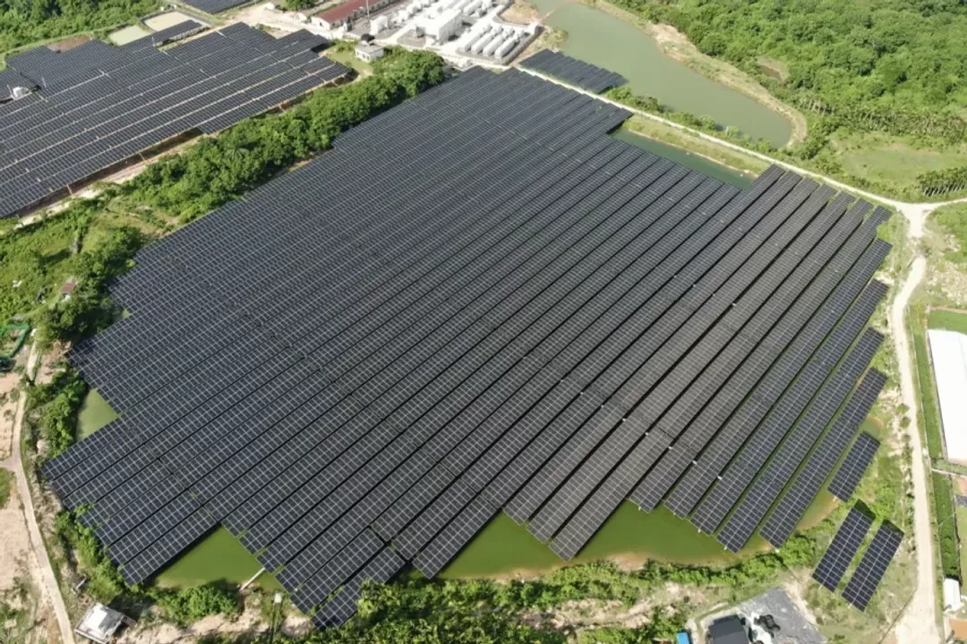 Red Solar's initiative aims to deliver 116.95 million kWh of clean electricity annually, reducing harmful emissions and saving tons of coal. (Image Credit: Red Solar)  