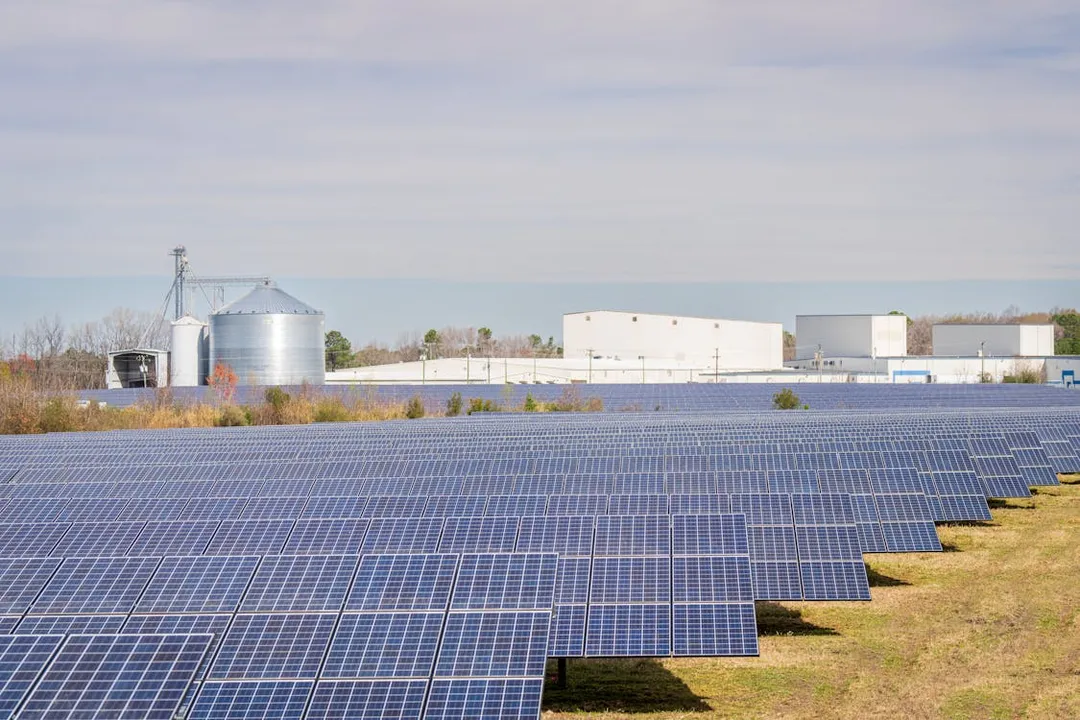  The utility-scale solar plant in Bikaner district is expected to be commissioned in March 2025. (Image Credit: Pexels)  