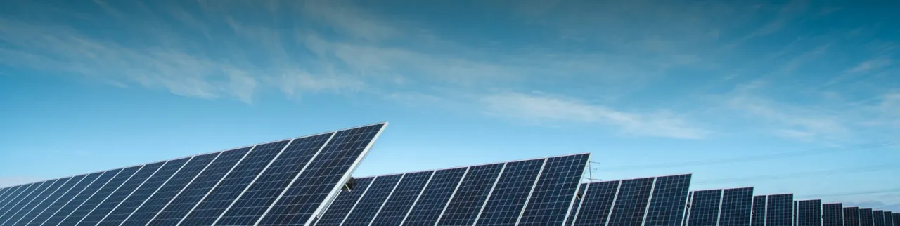  Mammoth North Solar project emphasizes agrivoltaics with over 1,500 sheep for vegetation management. (Image Credit: Doral Renewables)  