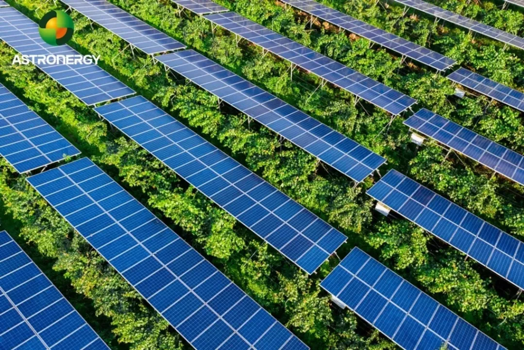  Astronergy’s ASTRO N5 module, with its lowest temperature coefficient of -0.29%/°C, ensures stability and efficiency in Qinghai’s challenging climate. (Image Credit: Astronergy)  