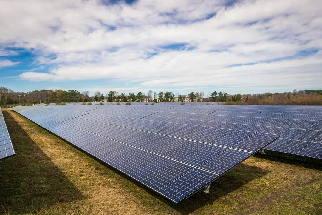  The NSW government has approved the AUD 880 M Goulburn River Solar Farm, set to power 191,000 homes annually and reduce carbon emissions by 733,000 tonnes per year. (Photo Source: Pexels)  