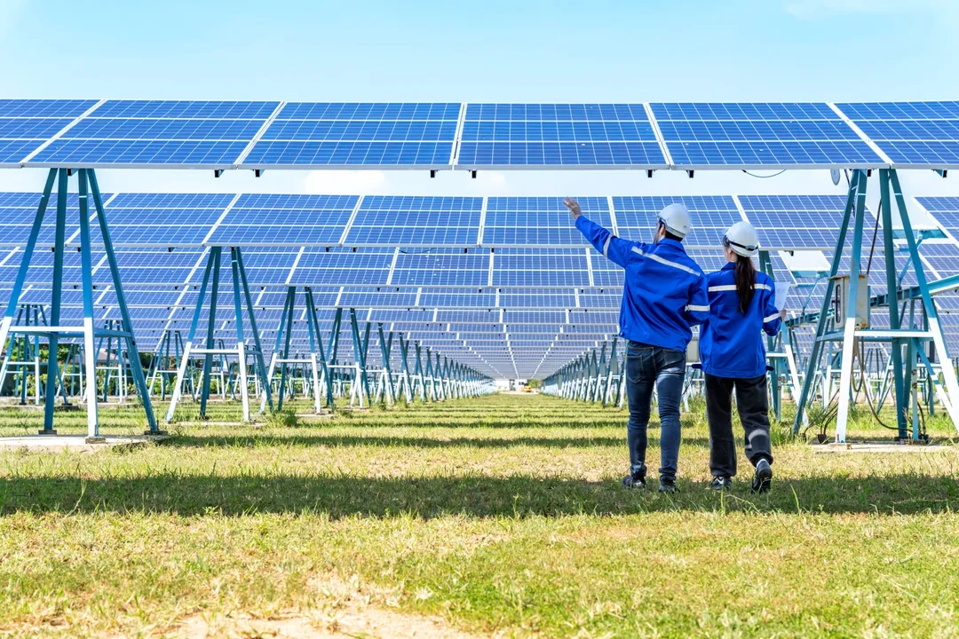  The Oriana Solar Project, funded by Advantage Capital’s investment, will span 1,100 acres and include 425,000 solar modules. (Image Source: Advantage Capital) 

  