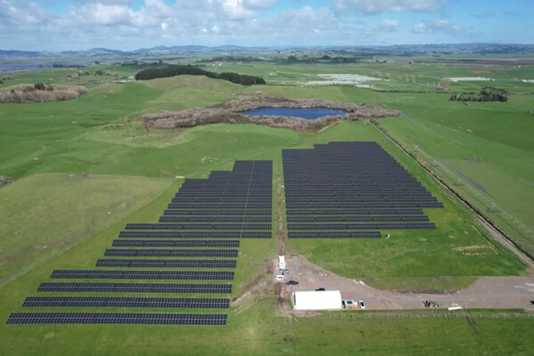  Waikato’s agrivoltaic farm produces 6,000 MWh annually, delivering sustainable energy to power around 800 local homes. (Image Source: PRNewswire)  