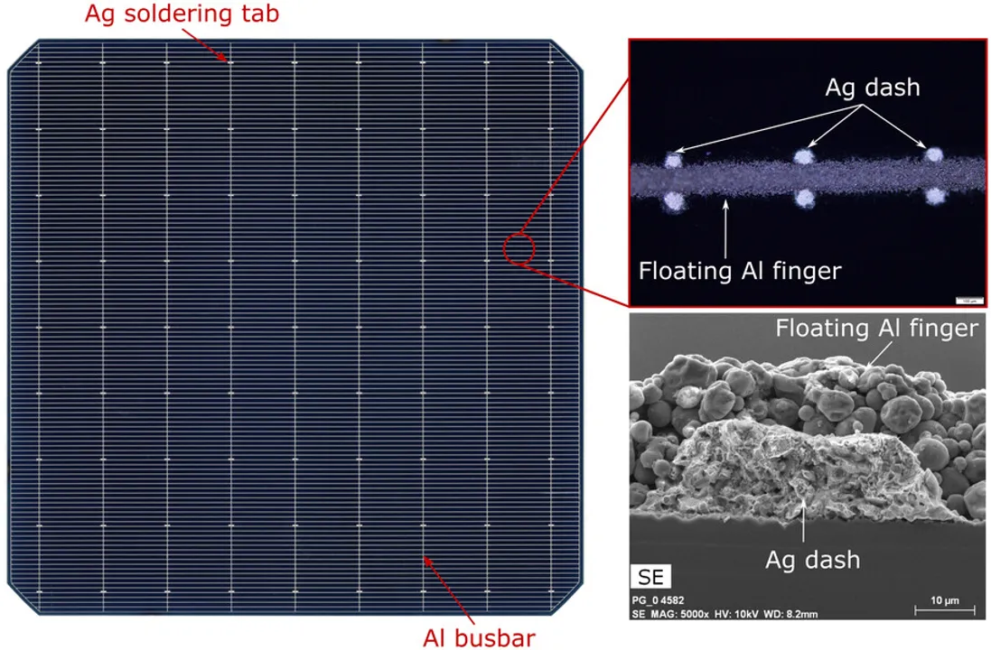  New silver-lean technology from UNSW achieves 24% efficiency in TOPCon cells, with 25% less silver use. (Image Source: Wiley)  
