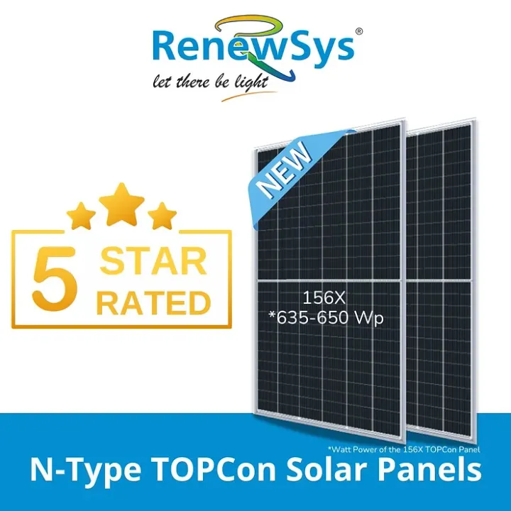  The company is an integrated manufacturer of solar PV modules and key components like backsheets and encapsulants. (Image Source: RenewSys)  