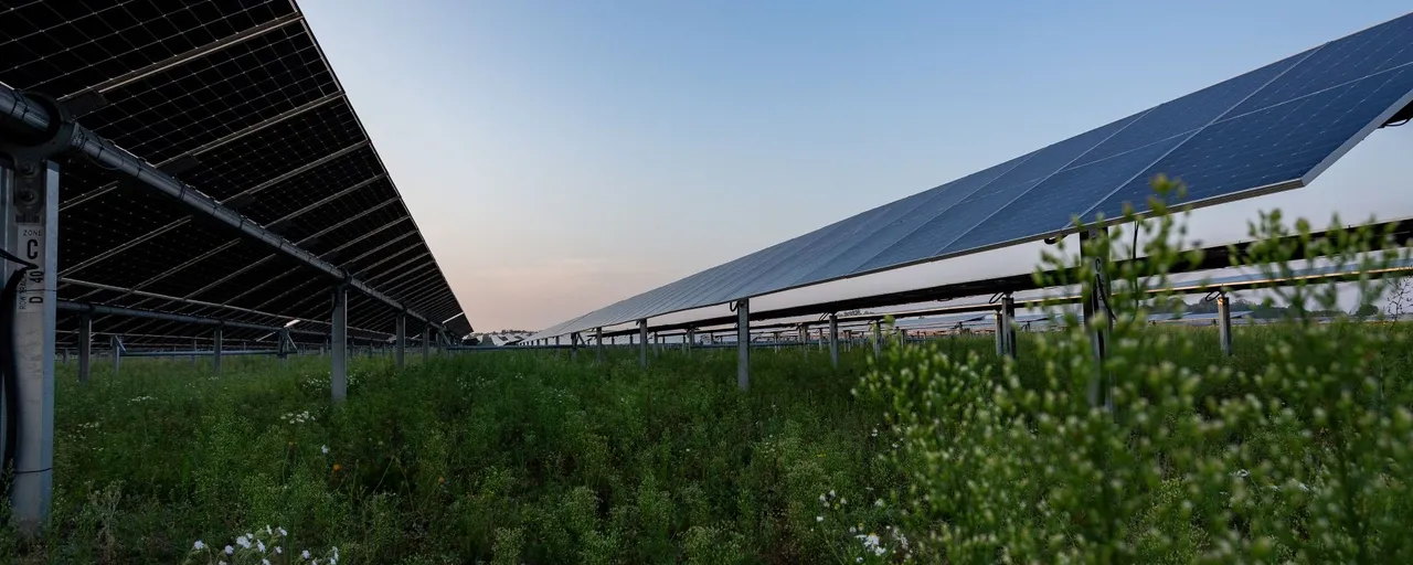  Construction of the Cibele Solar Farm is set to begin soon, with operations scheduled for 2026. (Image Source: LightSourcebp)  
