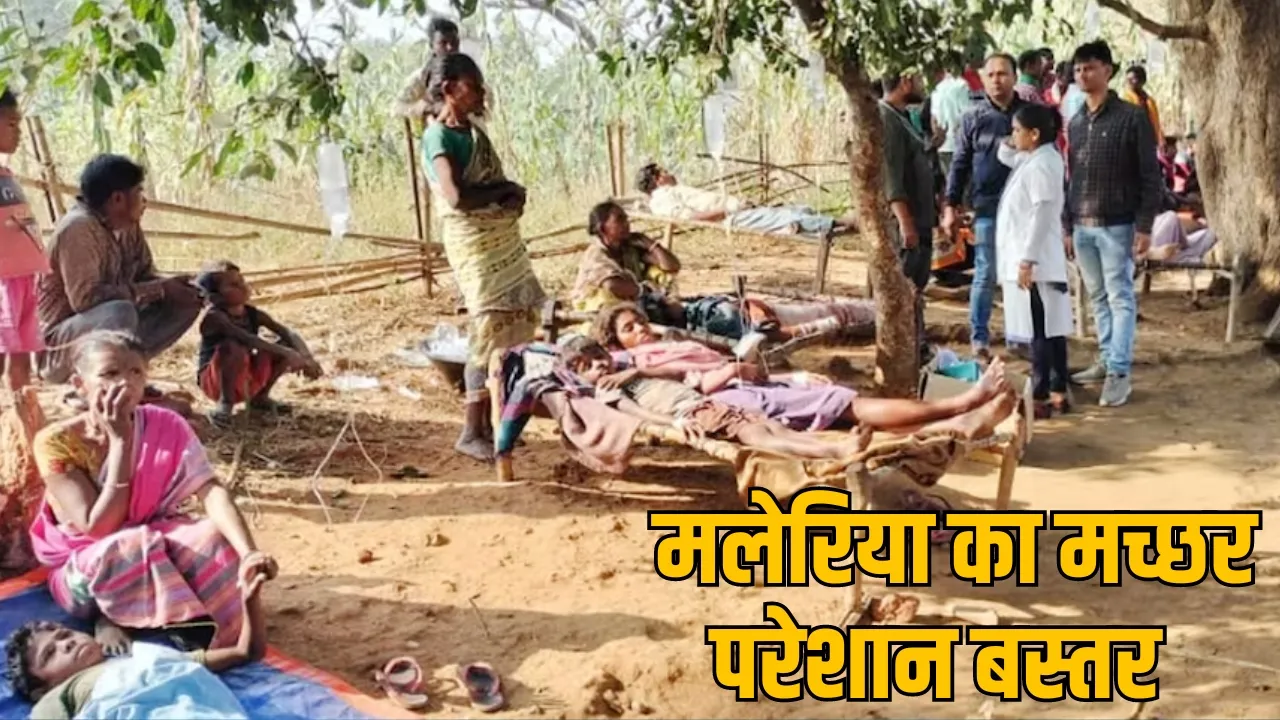 Malaria bite tribals revealed report Health Department the sootr