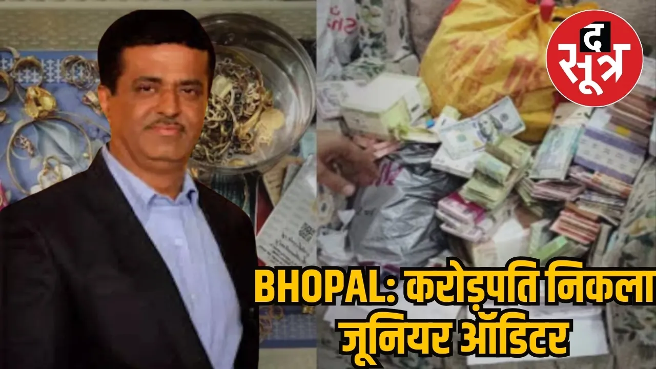 junior auditor bhopal